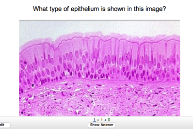 Screen Shot 2017-09-17 at 1.42.17 PM.png