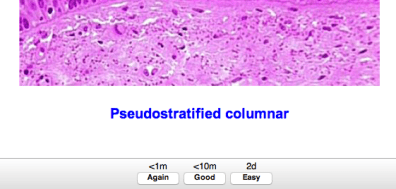 Screen Shot 2017-09-17 at 1.42.29 PM.png