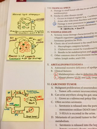 B38BBD6B-8708-4EC8-B951-4C400F011455